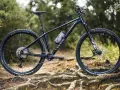 Muscle bike Canyon blu scuro su sentiero sterrato con radici affioranti.