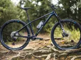 Muscle bike Canyon blu scuro su sentiero sterrato con radici affioranti.