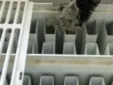 Spazzola per rimuovere polvere e sporco tra le alette di un radiatore, mostrando come pulire radiatore moto.