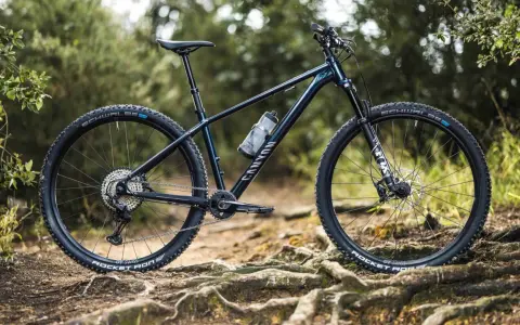Muscle bike Canyon blu scuro su sentiero sterrato con radici affioranti.