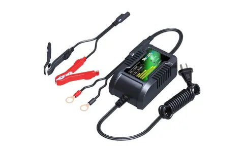 Caricabatterie 12V-2AMP con pinze rosse e nere, cavo a spirale e spina. Il caricabatterie si stacca facilmente.