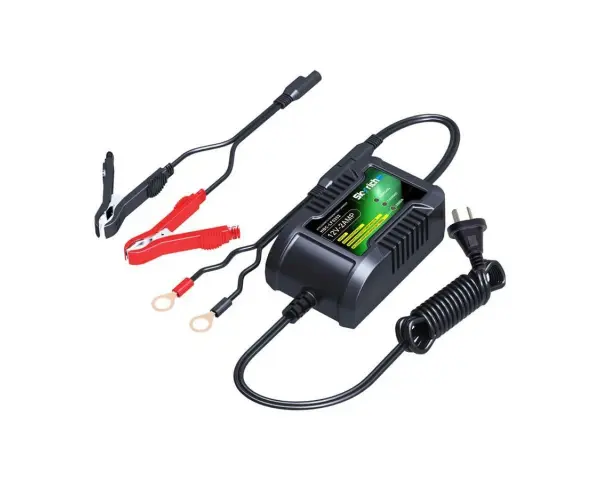 Caricabatterie 12V-2AMP con pinze rosse e nere, cavo a spirale e spina. Il caricabatterie si stacca facilmente.