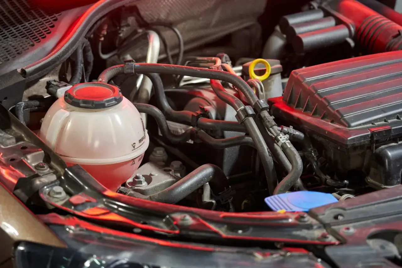 Serbatoio del liquido refrigerante con liquido rosa visibile, pronto per il cambio liquido radiatore. Tubi e motore in primo piano.